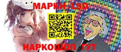 прущие грибы Будённовск
