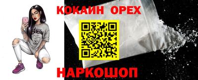 прущие грибы Будённовск