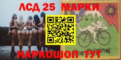 прущие грибы Будённовск