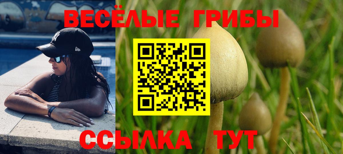 Псилоцибиновые грибы мицелий  Псилоцибиновые грибы MAGIC MUSHROOMS  Вход с VPN  Коммунар 